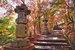 茨城の紅葉スポット7選！秋のデートや温泉旅行に人気の観光名所