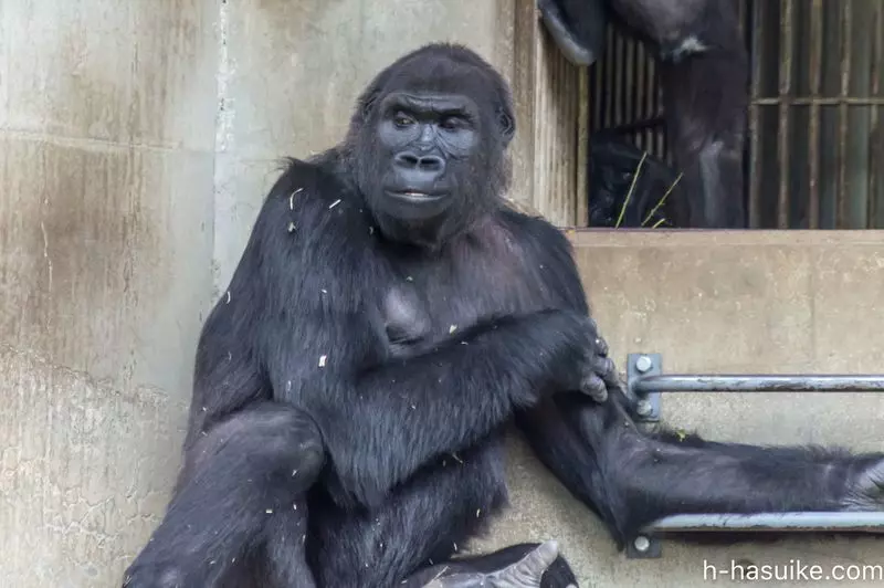 名古屋 デートや家族旅行におすすめ 東山動植物園 へ行こう Aumo アウモ