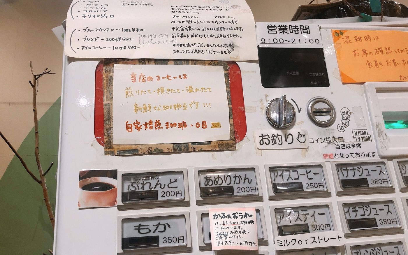 の画像