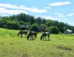 【長野・軽井沢】馬に乗って森を散歩！ココロ弾む癒しと小腹満足の旅☆