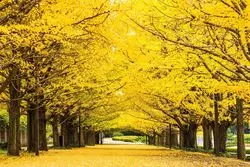 立川に行ったらここ！立川駅前でオススメしたいスポット7選♪