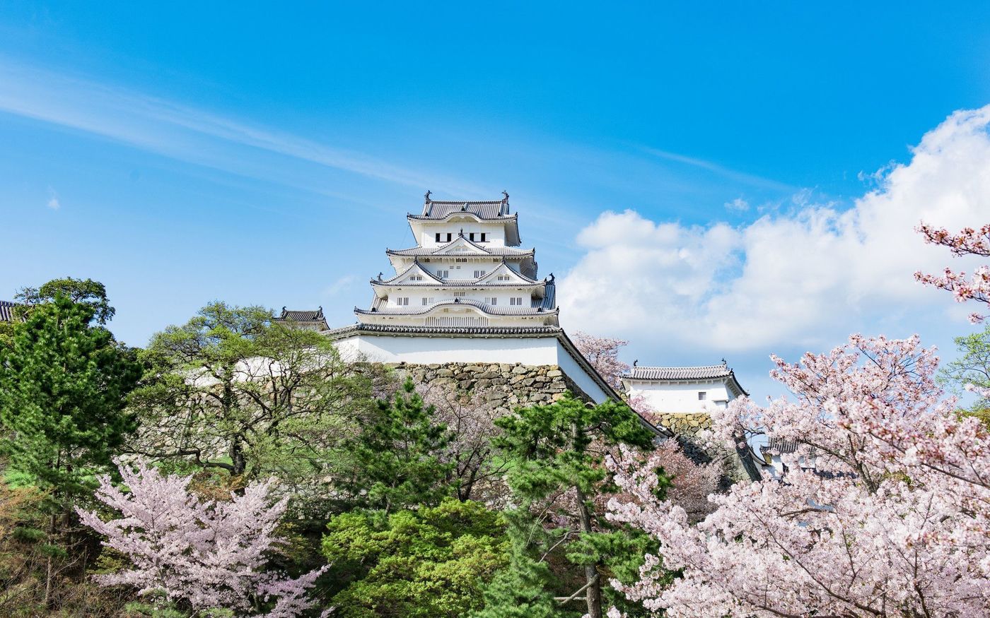 の画像