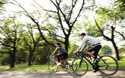 【茨城×サイクリング】おすすめサイクリングスポット6選をご紹介♪