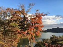 【神奈川】大迫力ダム＆紅葉狩りのオススメ穴場スポットはここ♪