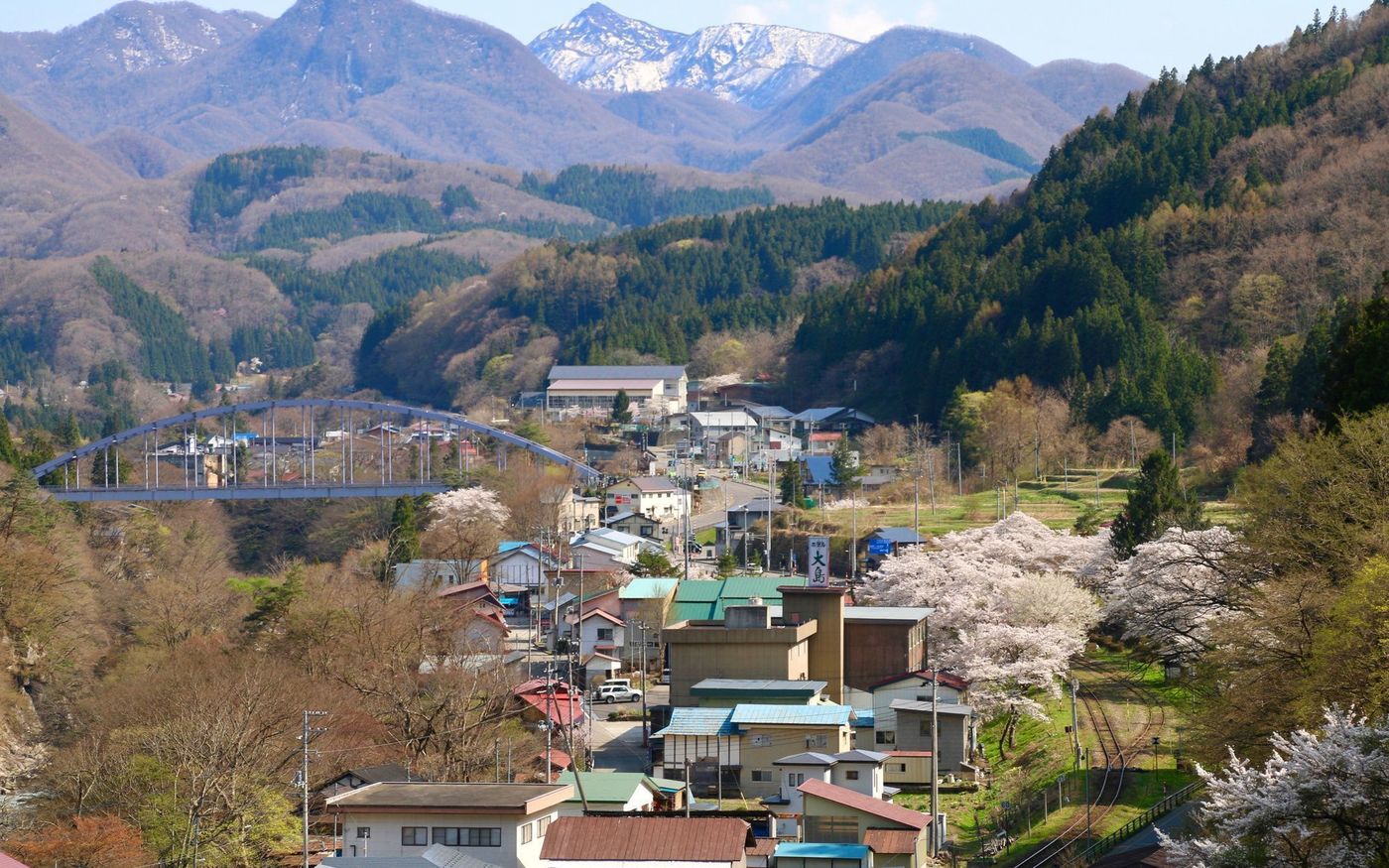 の画像