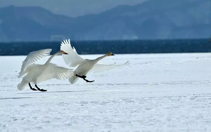 観光からグルメまで福島県を満喫♡ 1枚目