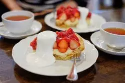 都内の人気カフェで！おひとりさま時間を満喫しよう♡Vol.3