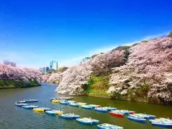 【東京】桜に囲まれた絶景♡千鳥ヶ淵の見どころ