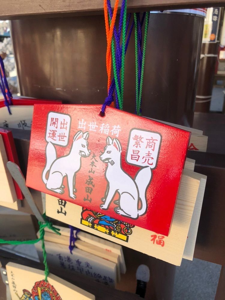 の画像