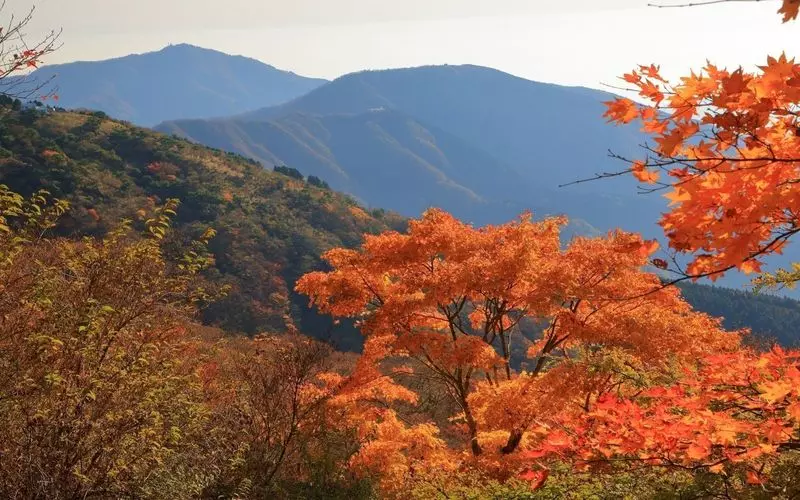 初心者でも 神奈川で登山 おすすめスポット7選 Aumo アウモ 初心者でも 神奈川で登山 おすすめスポット7選 Aumo アウモ
