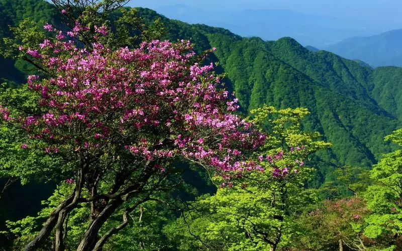 初心者でも 神奈川で登山 おすすめスポット7選 Aumo アウモ 初心者でも 神奈川で登山 おすすめスポット7選 Aumo アウモ