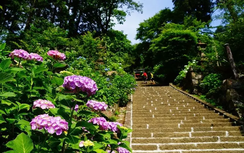 初心者でも 神奈川で登山 おすすめスポット7選 Aumo アウモ 初心者でも 神奈川で登山 おすすめスポット7選 Aumo アウモ
