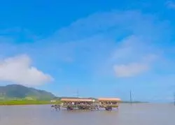 移住経験者が伝える♪沖縄、西表島のオススメスポットをご紹介！