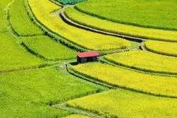 圧倒的大自然が観光客を魅了してやまない！和歌山の絶景スポット♡