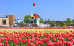 四季折々の美しい自然にあふれる富山の魅力的なドライブスポット7選！