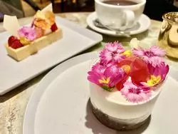 映えを求めていざ名古屋へ！パッと花咲く可愛いスイーツ♡