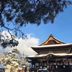 【長野県】定番の観光スポット！！