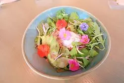 【恵比寿】子連れにも嬉しい！コスメキッチンアダプテーション