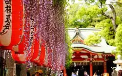 【神社巡り】埼玉のおすすめ神社10選♪ご利益や行事などをご紹介！