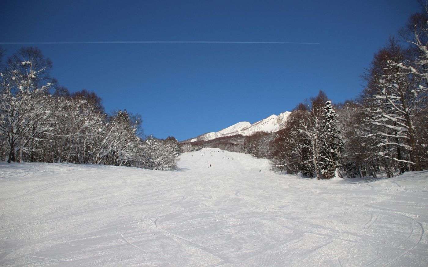の画像