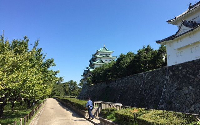の画像