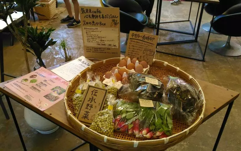千葉散歩にぴったり！「昭和の森」周辺のグルメスポット【昭和の森ラウンジcafe】 1枚目