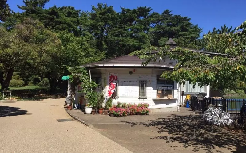 千葉散歩にぴったり！「千葉公園」周辺のグルメスポット【カフェ・ハーモニー】 1枚目