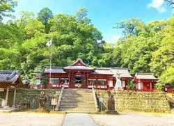 【鹿児島】パワースポットも☆日本一の大楠の町、蒲生の見どころ３つ