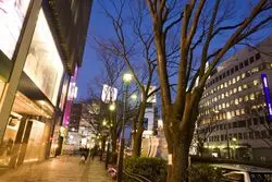 素敵な夕飯を素敵な場所で♡デートにおすすめな原宿のお店！