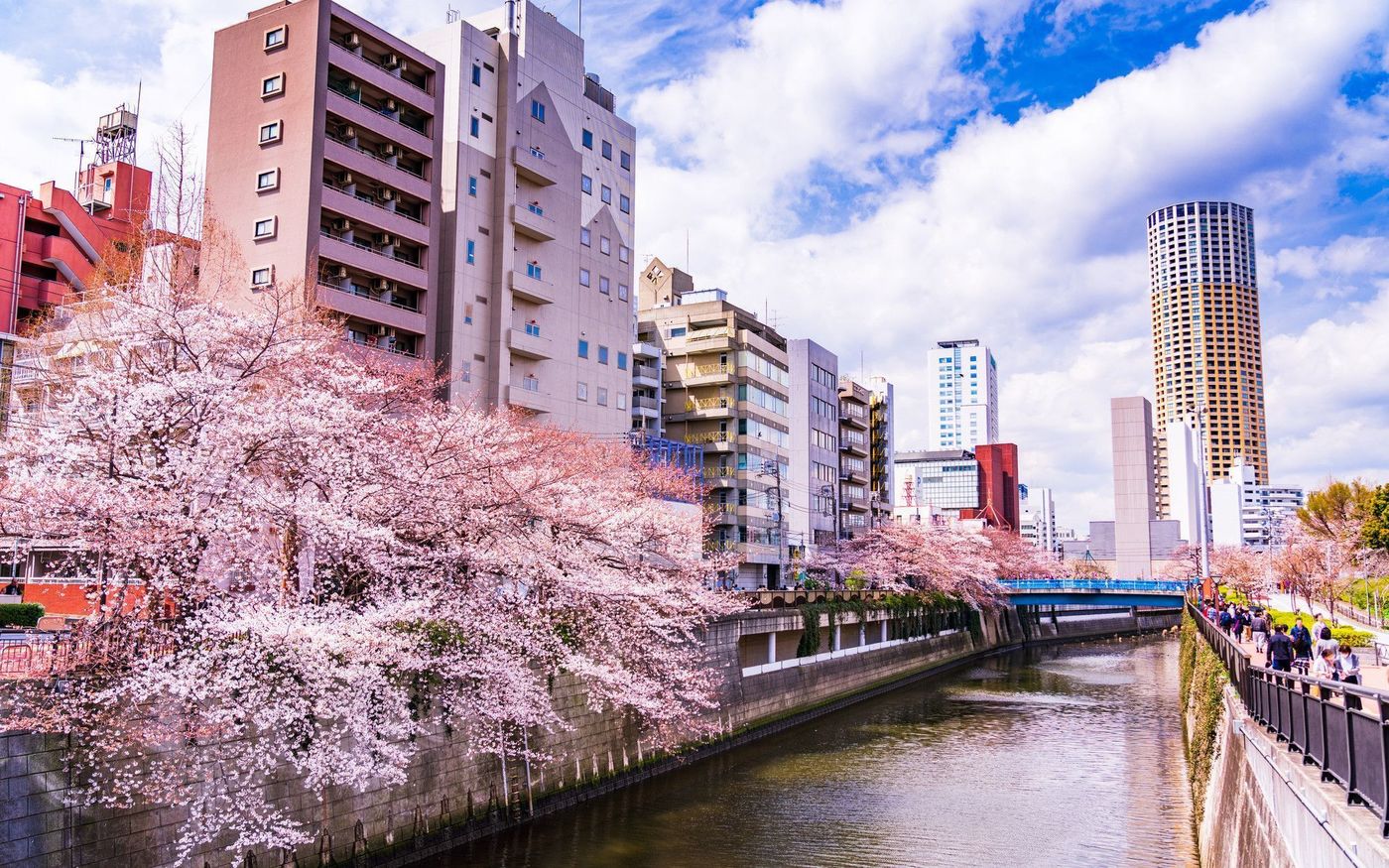 目黒駅から始まるデート♪雨の日も晴れの日も楽しめるコースをご紹介の画像