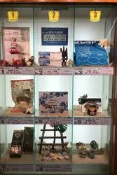 【福島】絶対喜ばれる！スパリゾートハワイアンズのお土産特集♪