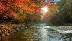 伊勢神宮にお参りしたら「おかげ横丁」へ！オススメお土産6選♪