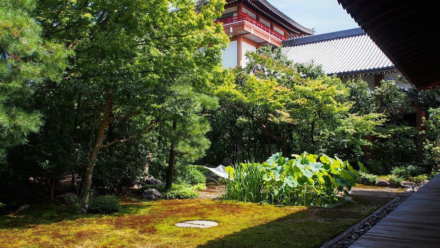 チェック必須◎"定番じゃない"京都の観光スポットはココ！の画像