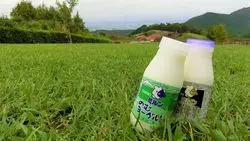 【福岡】家族連れにおすすめ♡気軽に自然と触れ合えるも～も～らんど油山牧場☆