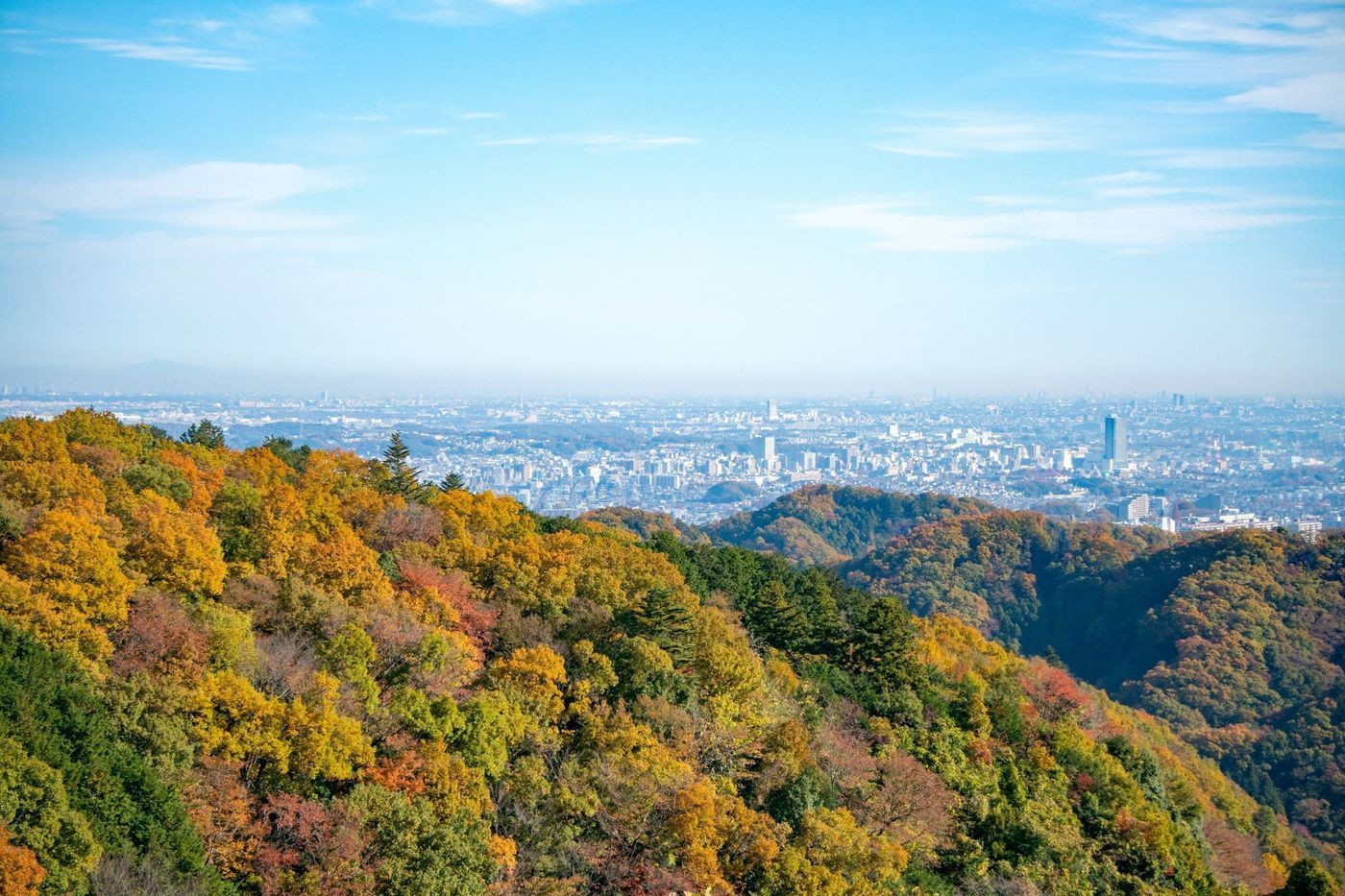 八王子のカレーを7選紹介！本当に美味しいカレーを食べたい方必見♪の画像