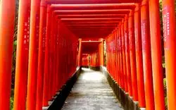 山口県の神社仏閣を巡ろう♪一度はお参りしたい寺社大特集！