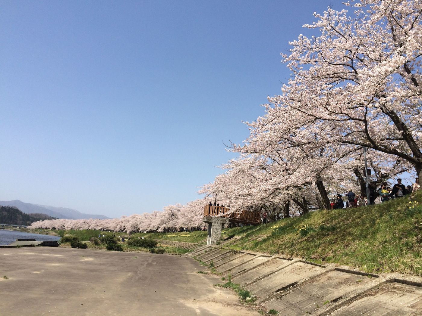 【秋田】みちのくの小京都！四季を楽しむ角館の魅力！の画像