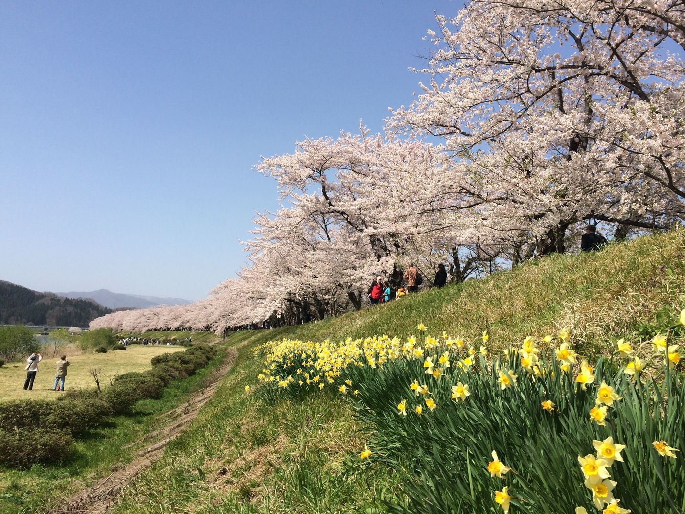 【秋田】みちのくの小京都！四季を楽しむ角館の魅力！の画像