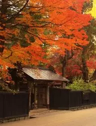 【秋田】みちのくの小京都！四季を楽しむ角館の魅力！