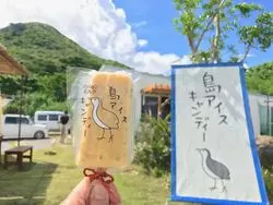 【石垣島】ドライブで行きたい！沖縄の絶景☆海を見ながら南の島アイス♡オススメ2選！