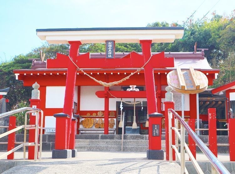 の画像