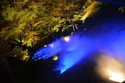 【芸術の秋】「東京」で見られる日本文化を体験。秋を楽しもう！