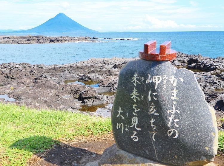 の画像