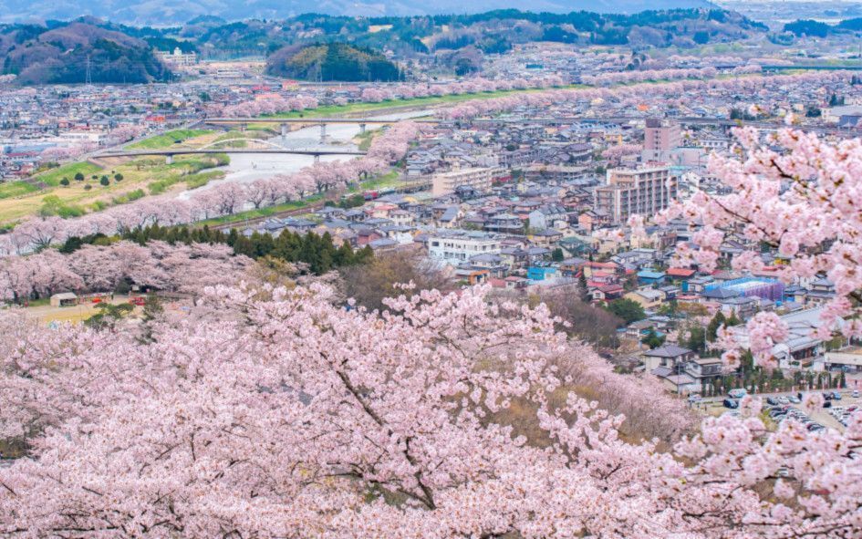の画像