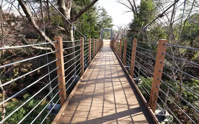 5. 二子玉川で桜を見るならここ！売店もあってピクニックにも◎【砧公園】 2枚目