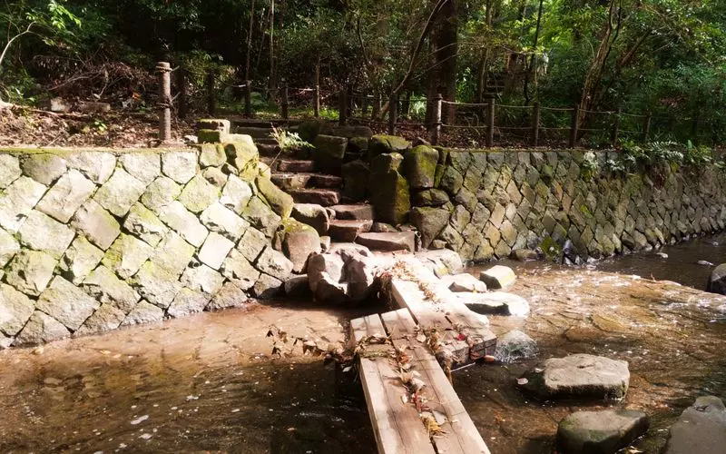 6. 真夏でも涼しい森林浴を楽しもう♪二子玉川からも行ける【等々力渓谷公園】 1枚目