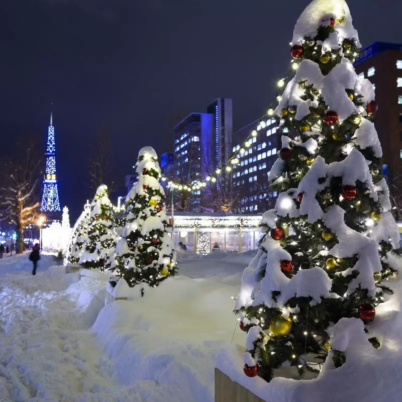 北海道でクリスマスにおすすめのイルミネーション4選 Aumo アウモ