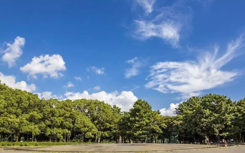 8. 「庄内緑地公園」名古屋市内で自然を満喫しながらアクティブに遊ぶ 1枚目