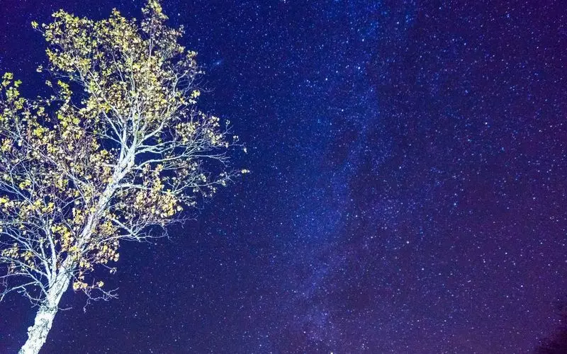 【穴場】夜に満点の星を見にドライブもおすすめ！ 1枚目