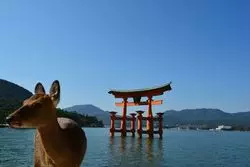 【広島】厳島神社だけじゃない！宮島の魅力♡